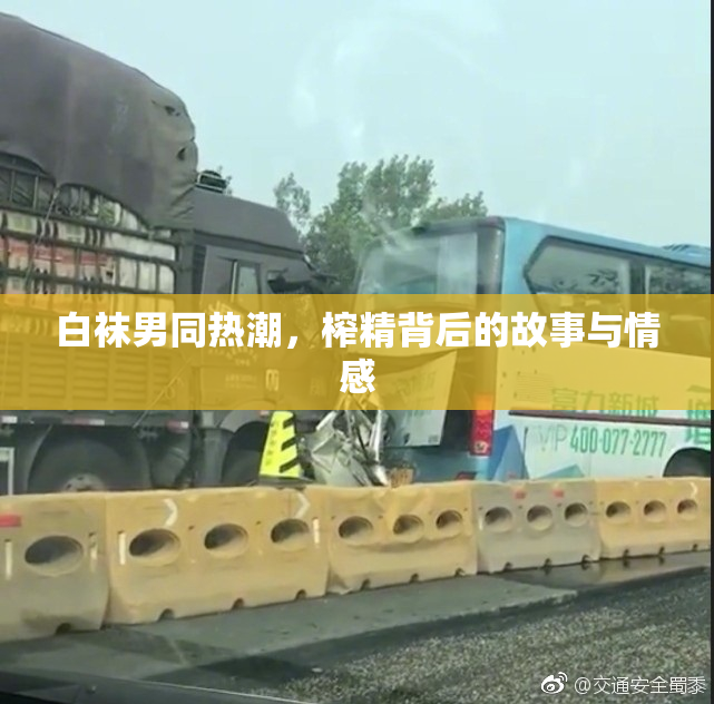 白袜男同热潮，榨精背后的故事与情感