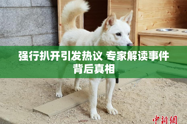强行扒开引发热议 专家解读事件背后真相