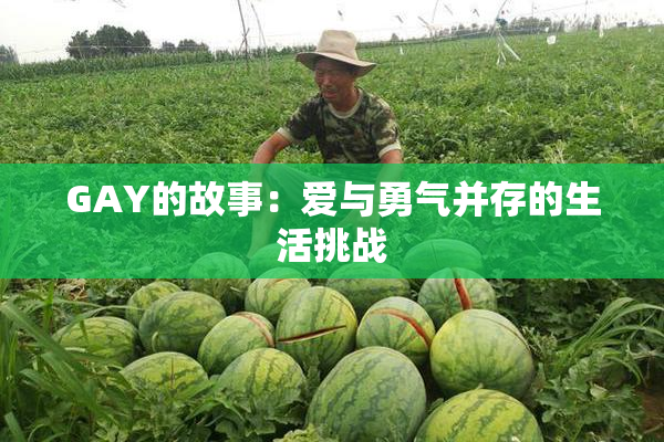 GAY的故事：爱与勇气并存的生活挑战