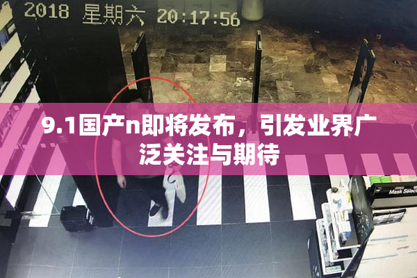 9.1国产n即将发布，引发业界广泛关注与期待