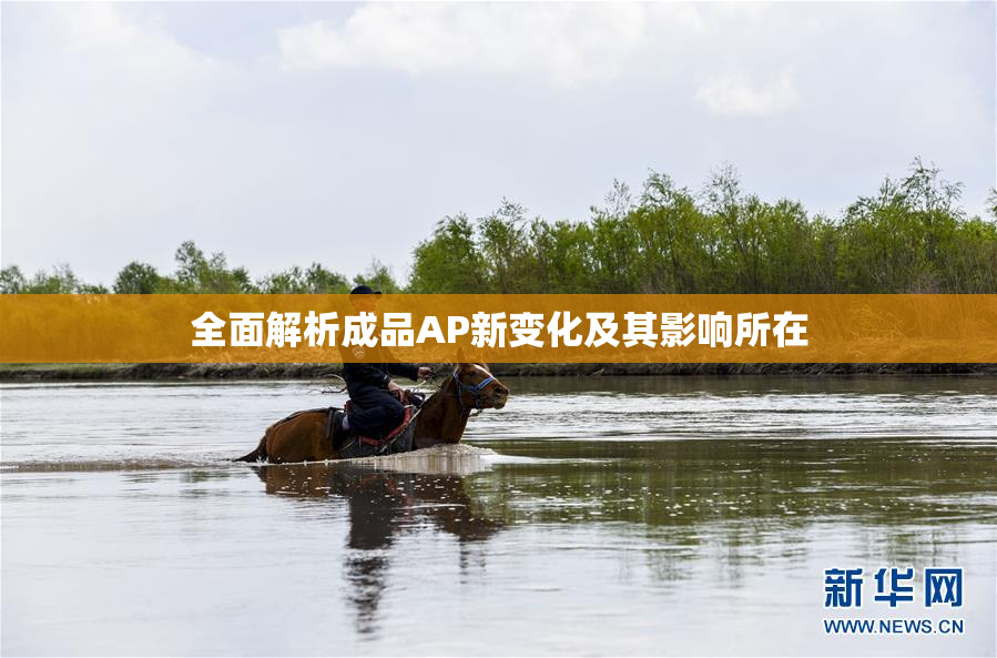 全面解析成品AP新变化及其影响所在