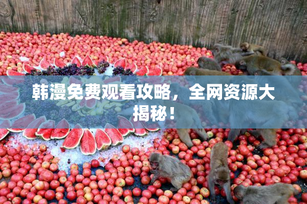 韩漫免费观看攻略，全网资源大揭秘！