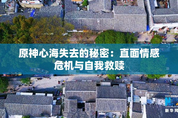 原神心海失去的秘密：直面情感危机与自我救赎