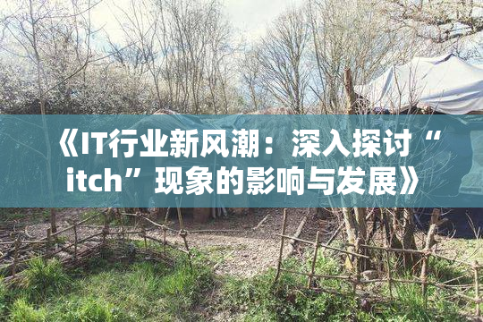 《IT行业新风潮：深入探讨“itch”现象的影响与发展》