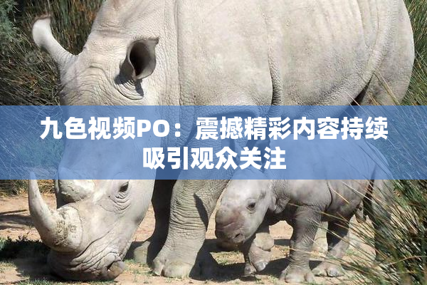 九色视频PO：震撼精彩内容持续吸引观众关注