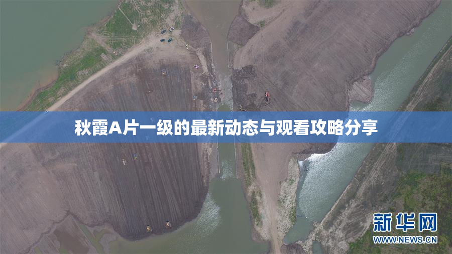 秋霞A片一级的最新动态与观看攻略分享