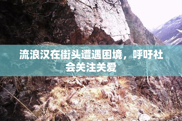 流浪汉在街头遭遇困境，呼吁社会关注关爱