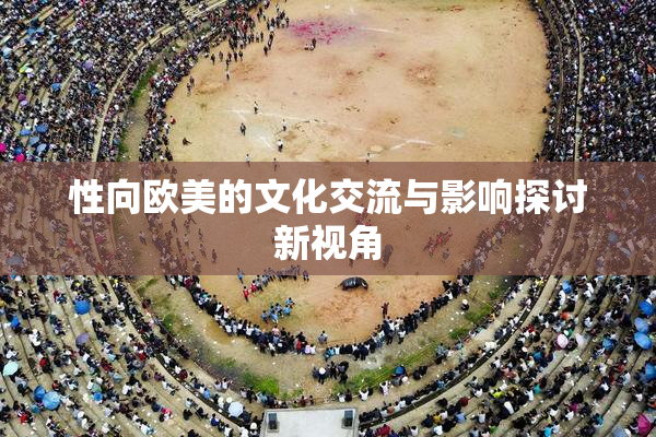 性向欧美的文化交流与影响探讨新视角