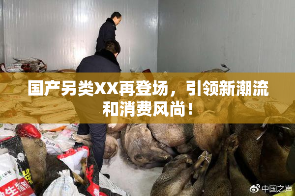 国产另类XX再登场，引领新潮流和消费风尚！