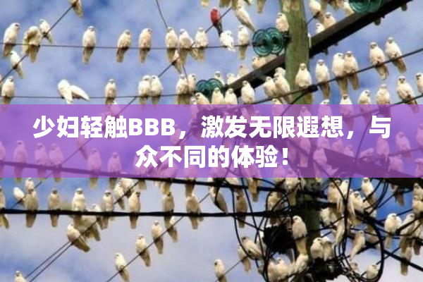 少妇轻触BBB，激发无限遐想，与众不同的体验！