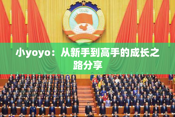 小yoyo：从新手到高手的成长之路分享