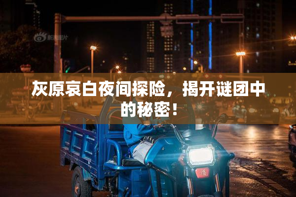 灰原哀白夜间探险，揭开谜团中的秘密！