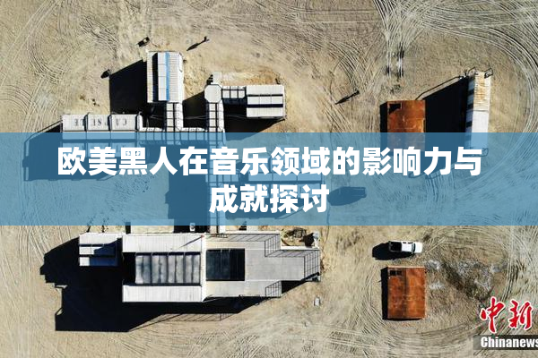 欧美黑人在音乐领域的影响力与成就探讨