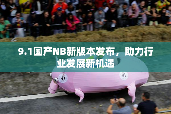 9.1国产NB新版本发布，助力行业发展新机遇