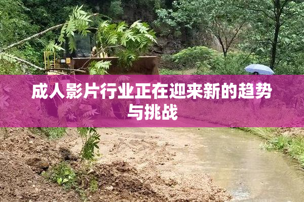 成人影片行业正在迎来新的趋势与挑战