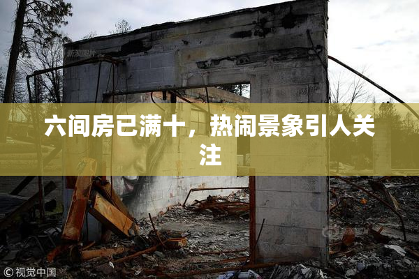 六间房已满十，热闹景象引人关注