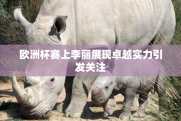 欧洲杯赛上李丽展现卓越实力引发关注
