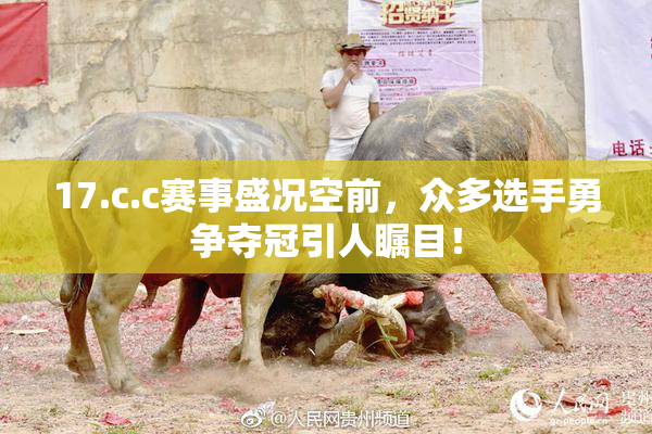 17.c.c赛事盛况空前，众多选手勇争夺冠引人瞩目！
