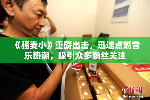 《骚麦小》重磅出击，迅速点燃音乐热潮，吸引众多粉丝关注