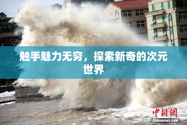 触手魅力无穷，探索新奇的次元世界