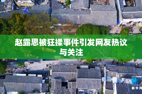 赵露思被狂揉事件引发网友热议与关注