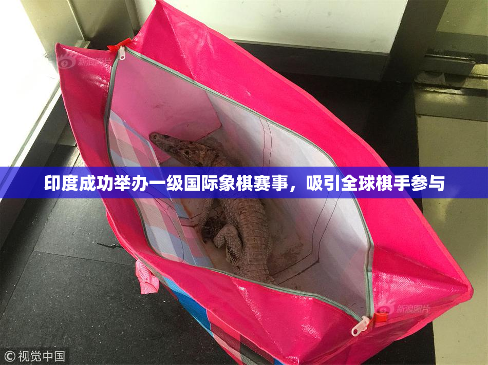 印度成功举办一级国际象棋赛事，吸引全球棋手参与