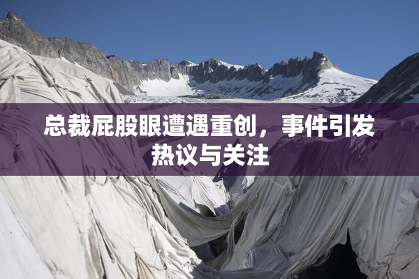 总裁屁股眼遭遇重创，事件引发热议与关注