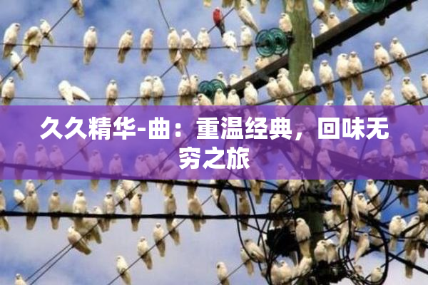 久久精华-曲：重温经典，回味无穷之旅