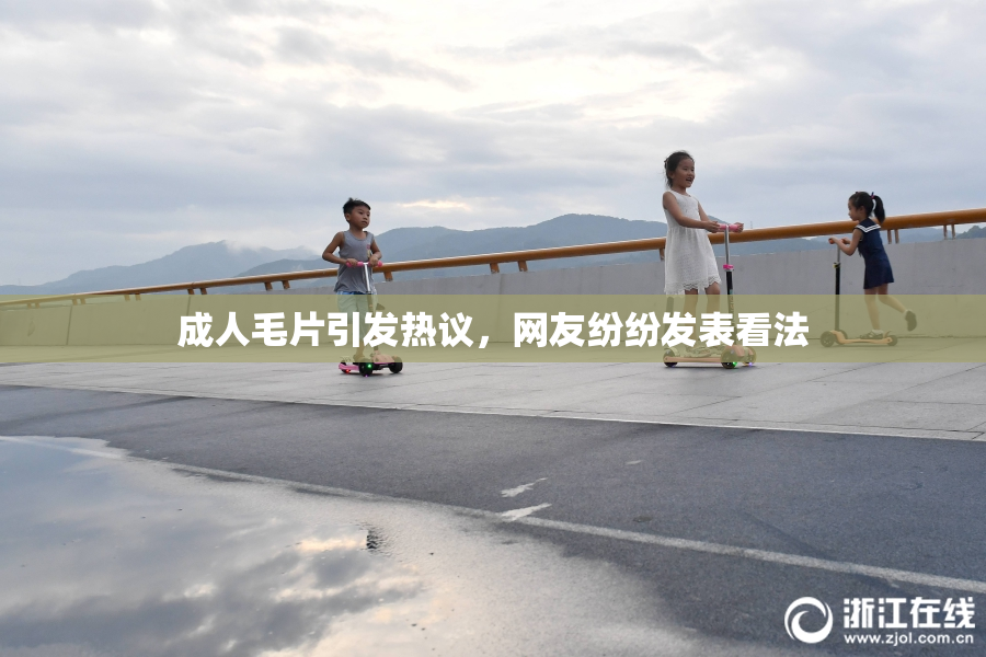 成人毛片引发热议，网友纷纷发表看法
