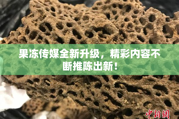 果冻传媒全新升级，精彩内容不断推陈出新！