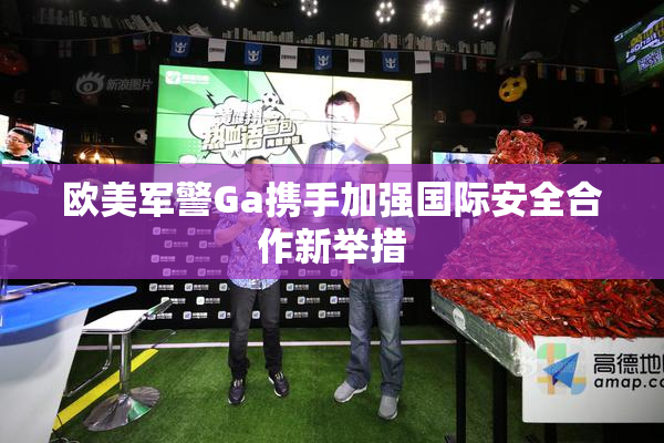 欧美军警Ga携手加强国际安全合作新举措