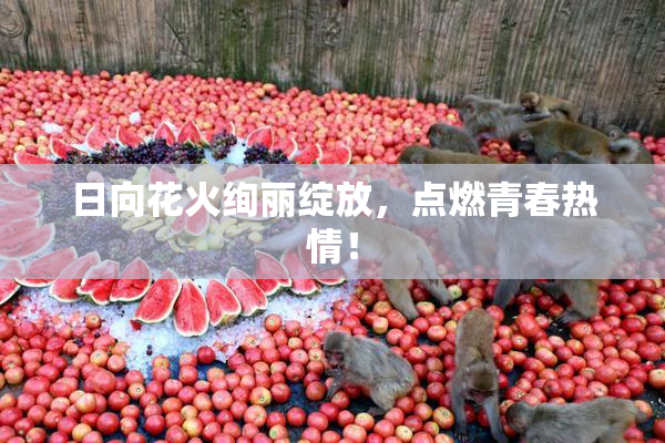 日向花火绚丽绽放，点燃青春热情！
