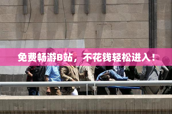 免费畅游B站，不花钱轻松进入！