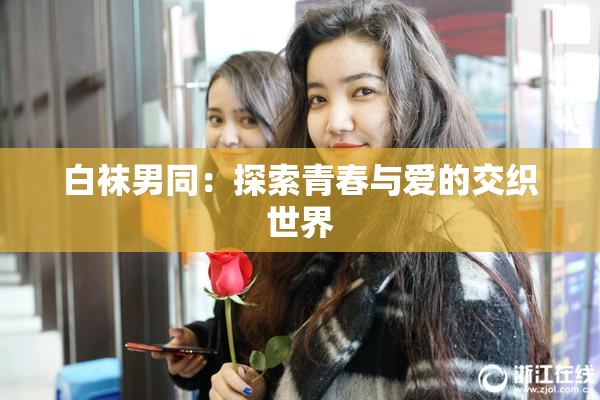 白袜男同：探索青春与爱的交织世界