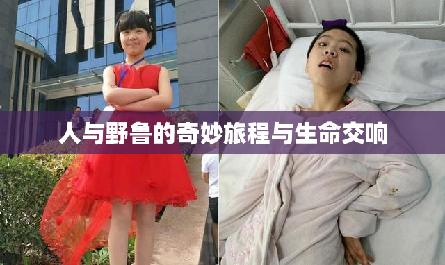 人与野鲁的奇妙旅程与生命交响