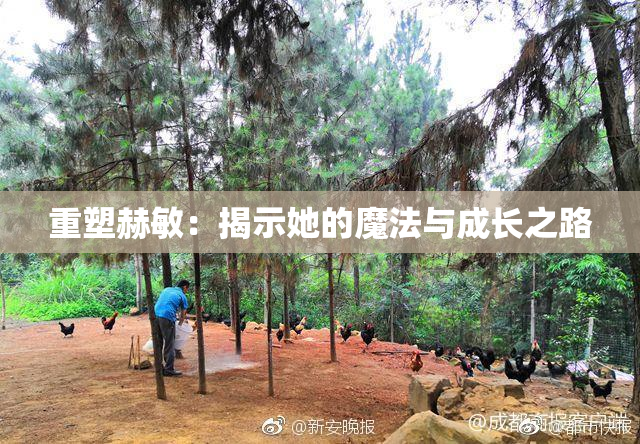 重塑赫敏：揭示她的魔法与成长之路