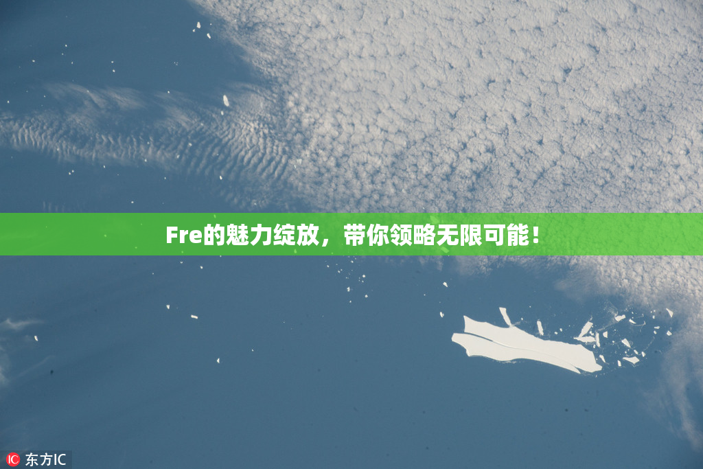 Fre的魅力绽放，带你领略无限可能！