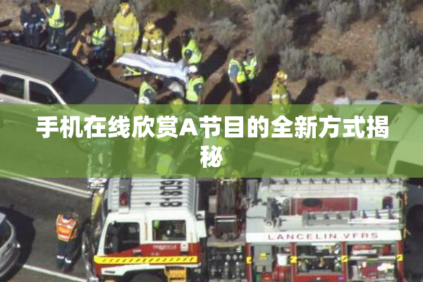 手机在线欣赏A节目的全新方式揭秘