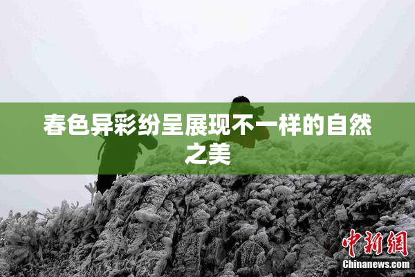 春色异彩纷呈展现不一样的自然之美