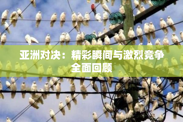亚洲对决：精彩瞬间与激烈竞争全面回顾