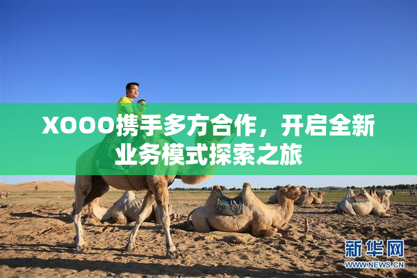 XOOO携手多方合作，开启全新业务模式探索之旅
