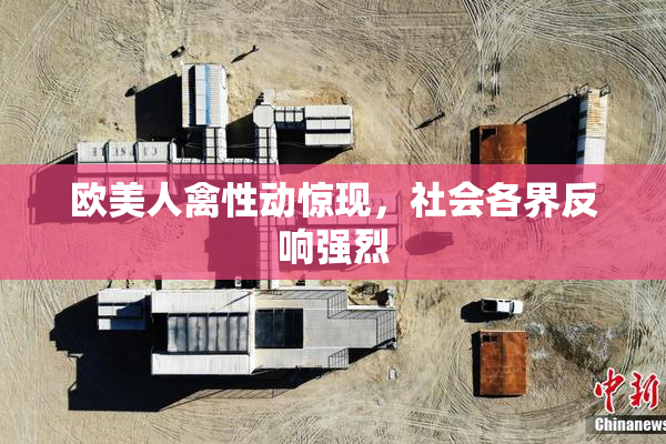欧美人禽性动惊现，社会各界反响强烈