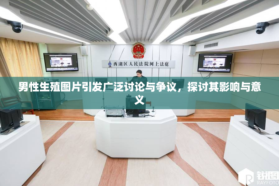 男性生殖图片引发广泛讨论与争议，探讨其影响与意义