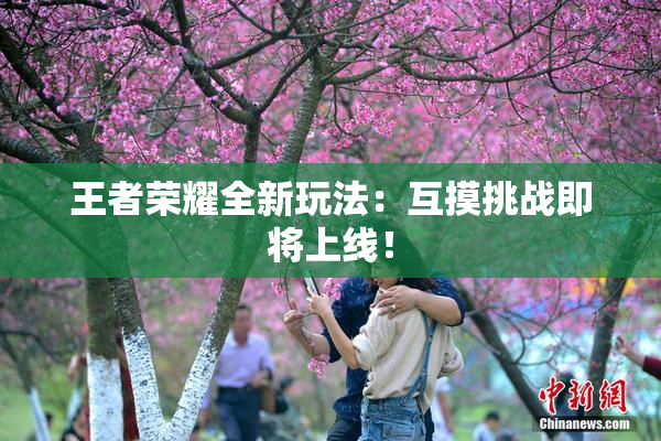 王者荣耀全新玩法：互摸挑战即将上线！