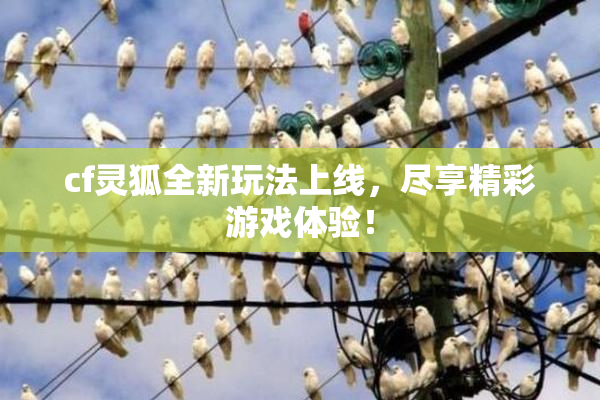 cf灵狐全新玩法上线，尽享精彩游戏体验！