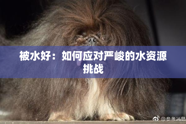 被水好：如何应对严峻的水资源挑战