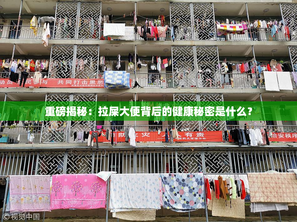 重磅揭秘：拉屎大便背后的健康秘密是什么？