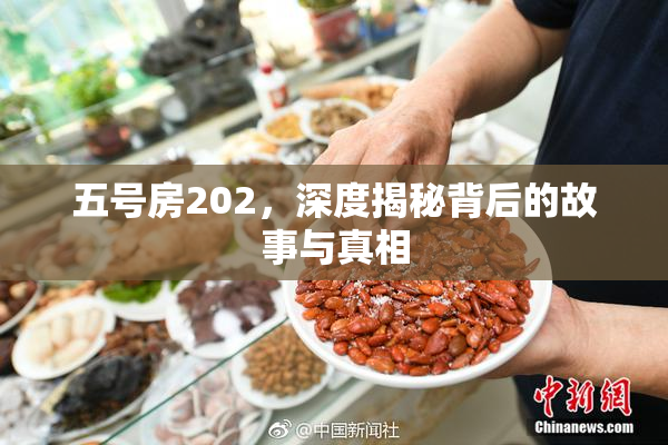 五号房202，深度揭秘背后的故事与真相