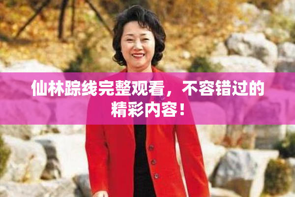 仙林踪线完整观看，不容错过的精彩内容！