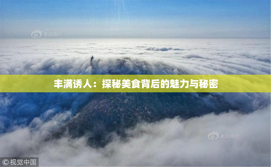 丰满诱人：探秘美食背后的魅力与秘密